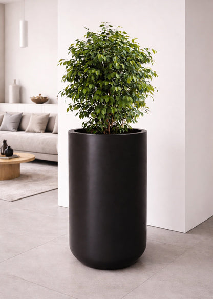 Reno Planter
