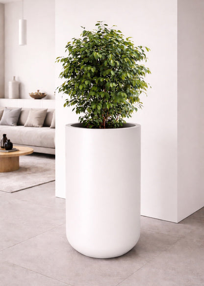 Reno Planter