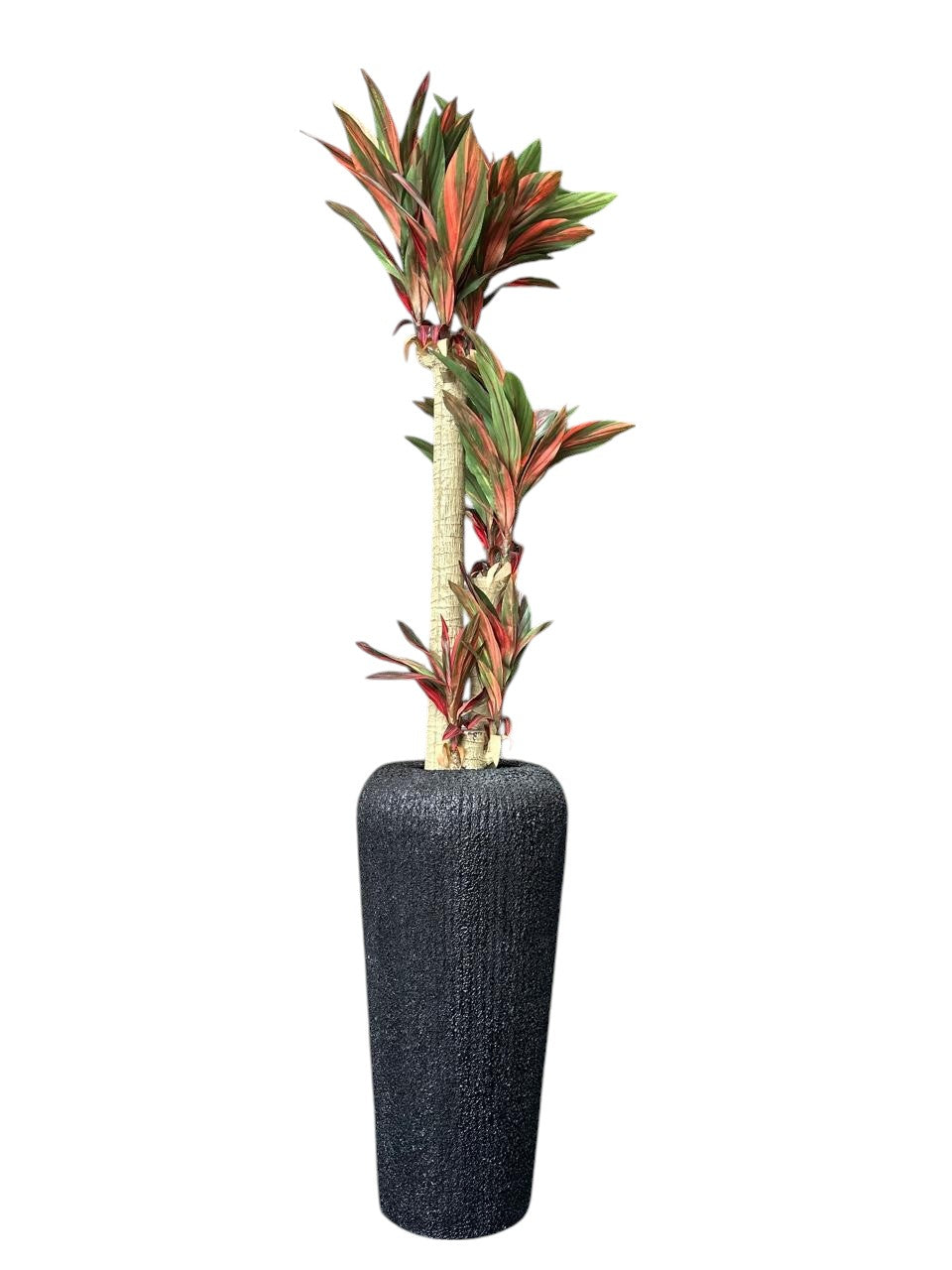 Osaka Tall Textured Planter