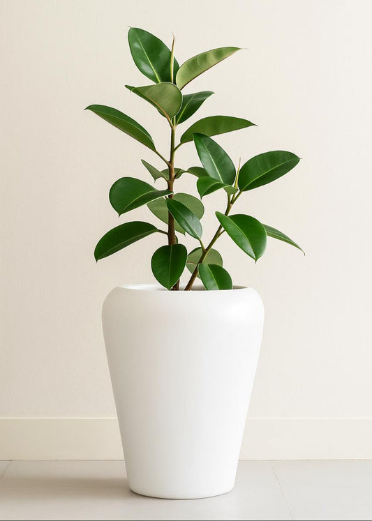 JP Large Apple Planter