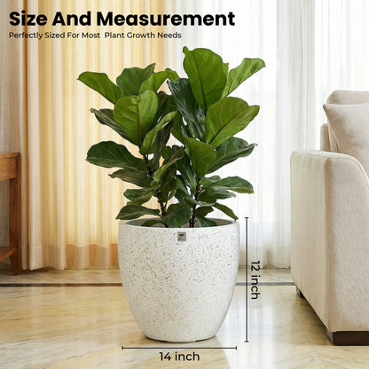 Bowl Planter