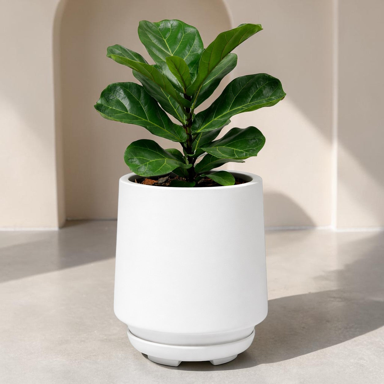 Soho Planter
