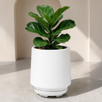 Soho Planter