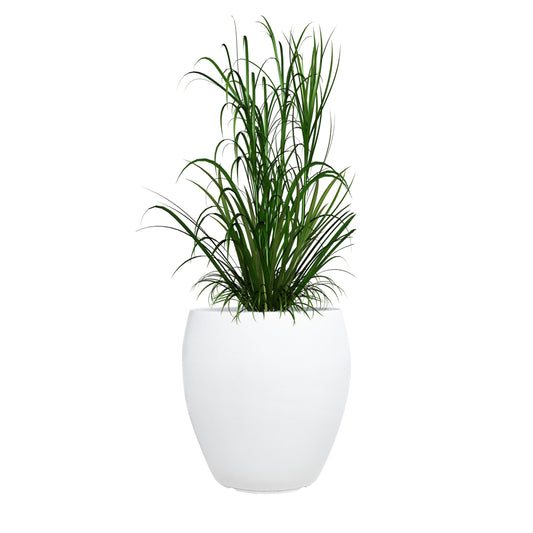 Fiberglass Planters - Buy Fiberglass Planters For Outdoor and Indoor ...